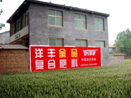 尤溪如何让墙体广告展现最大化效果