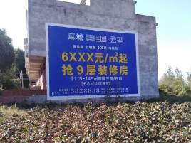 尤溪品牌公司青睐的墙体广告